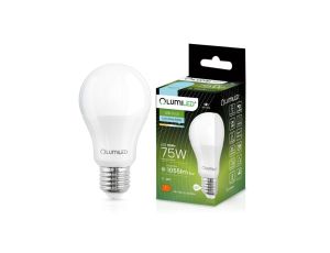 Żarówka LED E27 A60 10W = 75W 1055lm 6500K Zimna 260 LUMILED