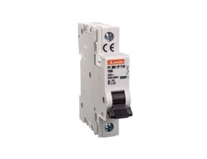 Ogranicznik mocy 1P 10A 10kA P1MB1PT10