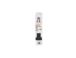 Ogranicznik mocy 1P 25A 10kA P1MB1PT25