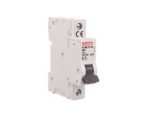 Ogranicznik mocy 1P 40A 10kA P1MB1PT40