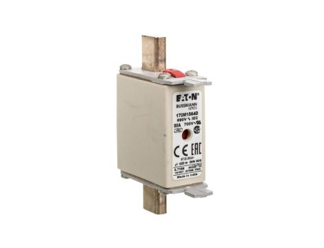 Wkładka bezpiecznikowa DIN000 45A gR 690V 170M1564D /10szt./