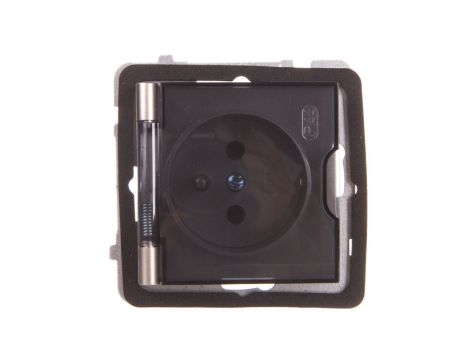 AS Gniazdo bryzgoszczelne z/u IP44 klapka przezroczysta satyna light GPH-1GZ/m/45/d