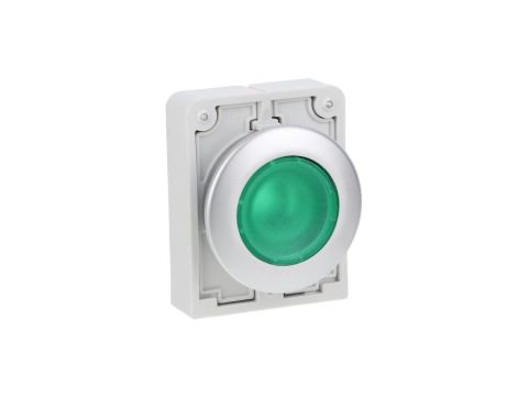 Napęd przycisku 30mm płaski zielony z podświetleniam z samopowrotem M30C-FDL-G 182927