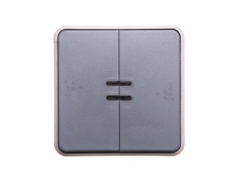 PLEXO55 Przycisk podwójny z podświetleniem szary 069546