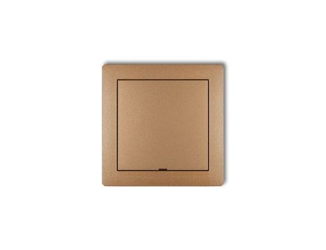 Ramka pośrednia z zaślepką złoty metalik 8DRPZ