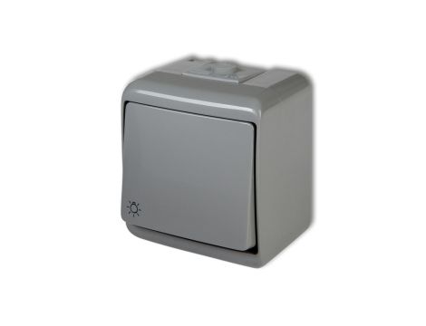 JUNIOR Przycisk /światło/ popielaty IP54 10WHE-5