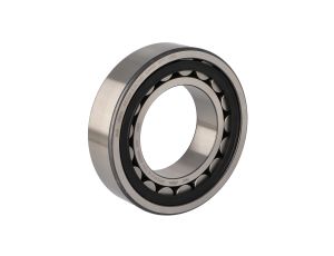 Fag - Łożysko NUP2220-E-XL-TVP2 100 x 180 x 46