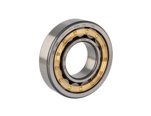 Fag - Łożysko NJ313-E-XL-M1-C4 65 x 140 x 33