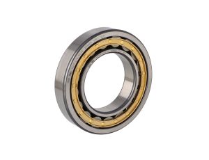 Fag - Łożysko NJ219-E-XL-M1-C3 95 x 170 x 32