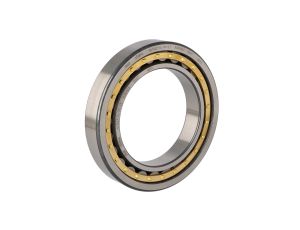 Fag - Łożysko NJ1022-XL-M1-C3 110 x 170 x 28