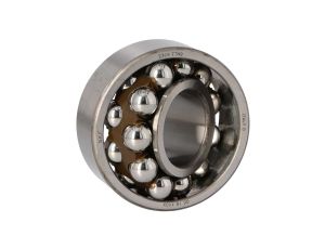SKF - Łożysko 2309 ETN9