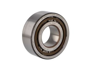SKF - Łożysko NJ 2311 ECP/C3