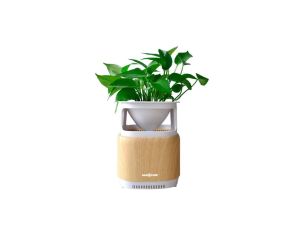 Oczyszczacz powietrza ASEPTICA green H13 UV-C drewno