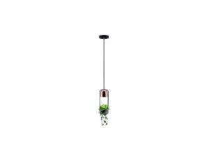 Oprawa wisząca Neordic Fanja 1x20W GU10 Czarny/Miedź 230V Metall PL79749