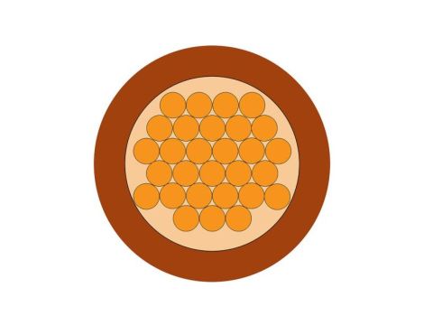 Przewód zasilający 1 Core Polichlorek winylu PVC Sheath Brązowy 3.4mm od , 750 V