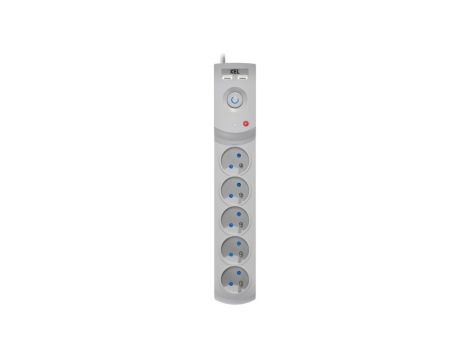 Przedłużacz przeciwprzepięciowy professional 5 gniazd 2xUSB 5m 10A 230V 2300W szary W-100042