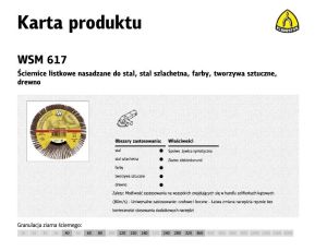 KLINGSPOR ŚCIERNICA LISTKOWA NASADZANA 125mm WSM617 gr. 40