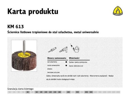 KLINGSPOR ŚCIERNICA LISTKOWA TRZPIENIOWA KM613  20mm x 10mm x 6mm gr. 80