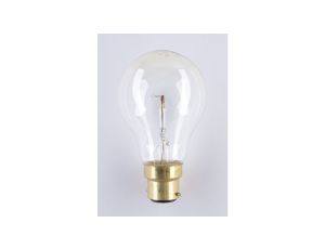 Żarówka B22 A60 40W 24V niskonapięciowa NIS-0533 B22