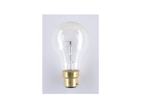 Żarówka B22 A60 40W 24V niskonapięciowa NIS-0533 B22