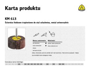 KLINGSPOR ŚCIERNICA LISTKOWA TRZPIENIOWA KM613 40mm x 20mm x 6mm gr.100