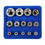 ZESTAW NASADEK TORX  14el./SILVER - 2