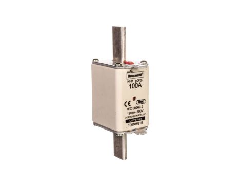 Wkładka NH1 100A 500V gL/gG podwójny wskaźnik 100NHG1B /3szt./