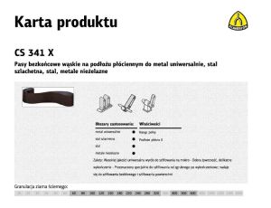 KLINGSPOR PASY BEZK.  50* 800 gr.120  CS341X /1szt.