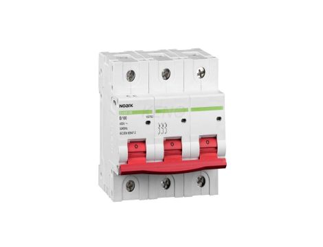 Wyłącznik nadprądowy 3P B 100A 20kA Ex9B125