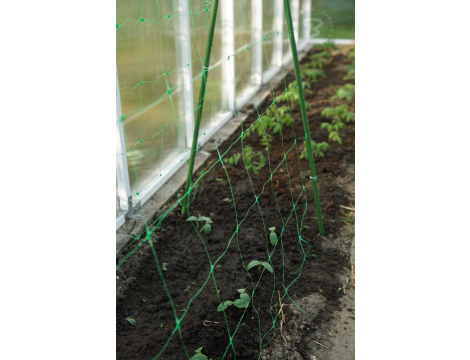 SIATKA PODPORA DO ROŚLIN PNĄCYCH PLANT NET 2x20m - 4