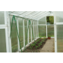 SIATKA PODPORA DO ROŚLIN PNĄCYCH PLANT NET 2x20m - 4