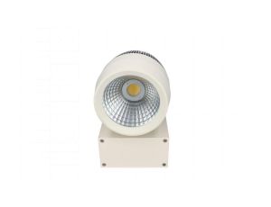 PROJEKTOR LED SZYNOWY 20W 4000K BIAŁY wy c.