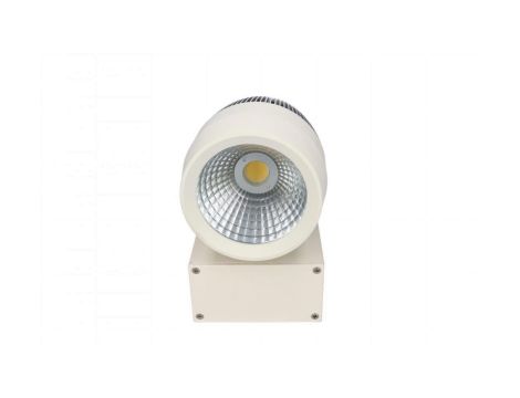 PROJEKTOR LED SZYNOWY 20W 4000K BIAŁY wy c.
