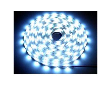 Taśma LED Basic 5050 6000K 5m/150diod