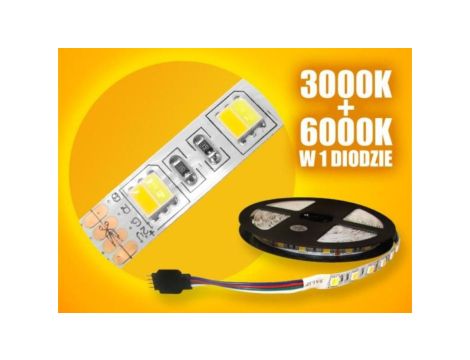 Taśma LED Basic 5050 WW+CW 5m/300diod