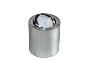 Oprawa sufitowa Febe srebrna szczotkowana ruchoma