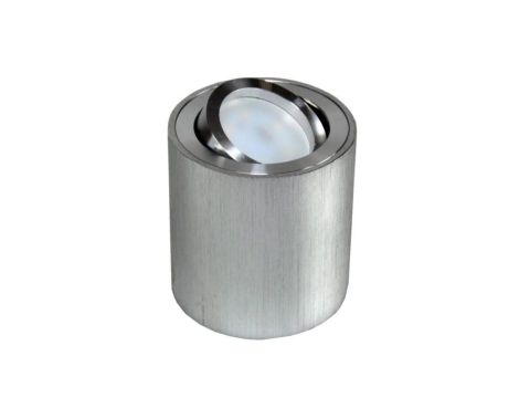 Oprawa sufitowa Febe srebrna szczotkowana ruchoma