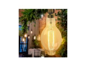 Żarówka węglowa Seligit ED118 60W E27 BIG