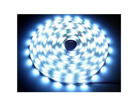 Taśma LED Basic 3528 6500K 5m/300diod