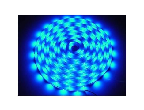 Taśma LED Premium 2835 5m/300diod niebieska IP