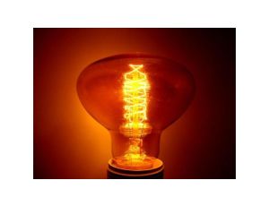 Żarówka Selises R80-S24 40W E27