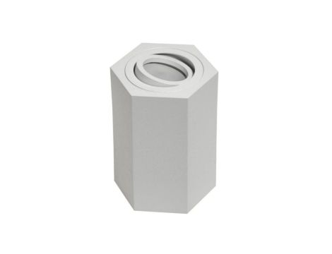 Oprawa sufitowa Areno White ruchoma aluminium 100x