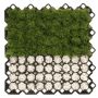 KRATKA OGRODOWA CZARNA 40mm /60cm x 60cm MULTI GRID - 5