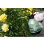 OPRYSKIWACZ RĘCZNY "AQUA SPRAY" 2,0l CLEAR - 3