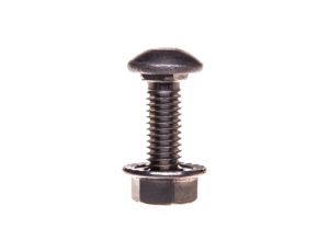 Śruba z łbem grzybkowym + nakrętka BTRCC6/20S4 CM801018 /100szt./