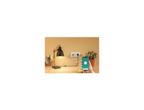 Gniazdo smart z pomiarem zużycia energii 16A R6118