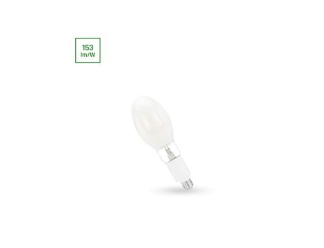 Oprawa Uliczna LED PARISIENNE PREMIUM COG 30W E-27 NW MILKY SPECTRUM