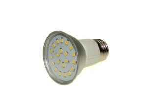 Żarówka LED PRIN E27 21x2835 3,5W biały dzienny