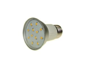 Żarówka LED PRIN E27 12x2835 2W DW