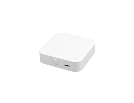 Bramka SmartLock BT ONE- kontrola on-line Tuya